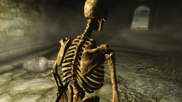 HD   Skeleton for Skyrim SE-AE