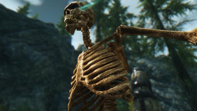 HD   Skeleton for Skyrim SE-AE