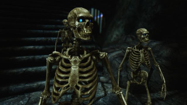 HD   Skeleton for Skyrim SE-AE