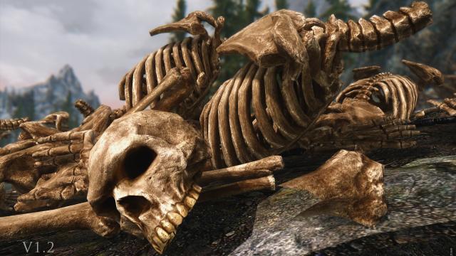 HD   Skeleton for Skyrim SE-AE