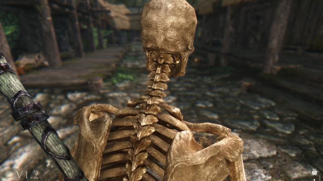 HD   Skeleton for Skyrim SE-AE