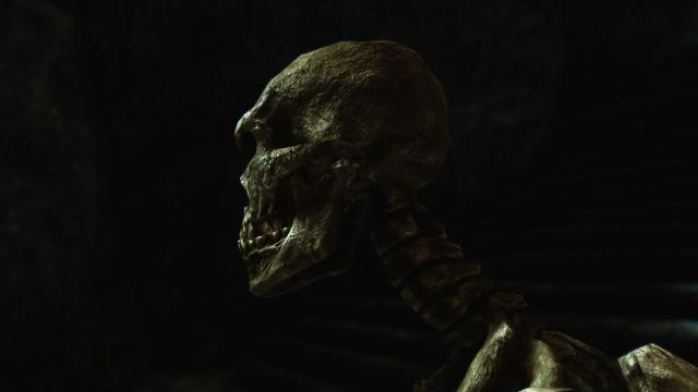 HD   Skeleton for Skyrim SE-AE