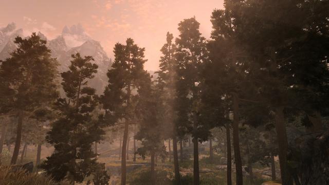 3D     Skyrim 3D Trees and Plants