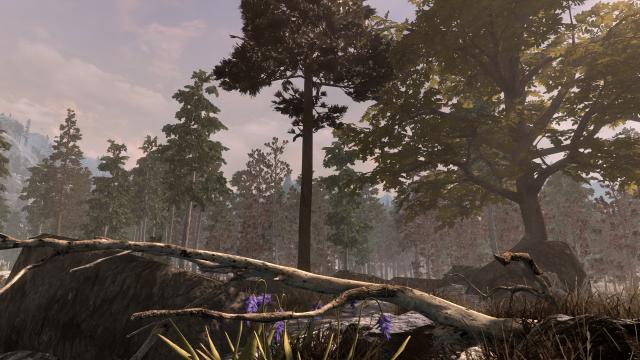 3D Деревья и растения / Skyrim 3D Trees and Plants для Skyrim SE-AE