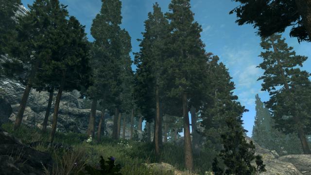 3D Деревья и растения / Skyrim 3D Trees and Plants для Skyrim SE-AE