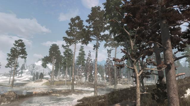 3D Деревья и растения / Skyrim 3D Trees and Plants для Skyrim SE-AE