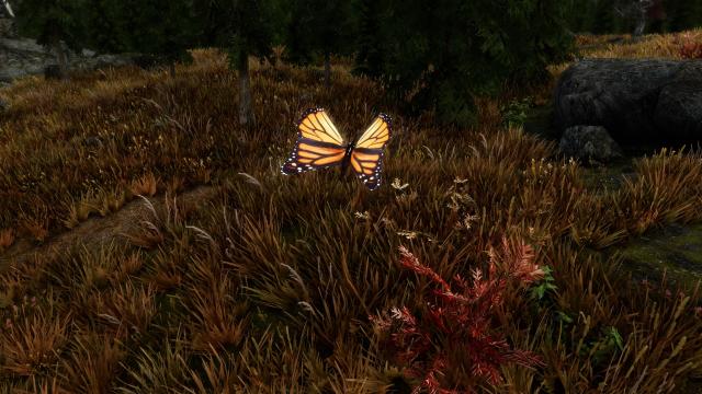 Rally’s Butterflies and Moths для Skyrim SE-AE