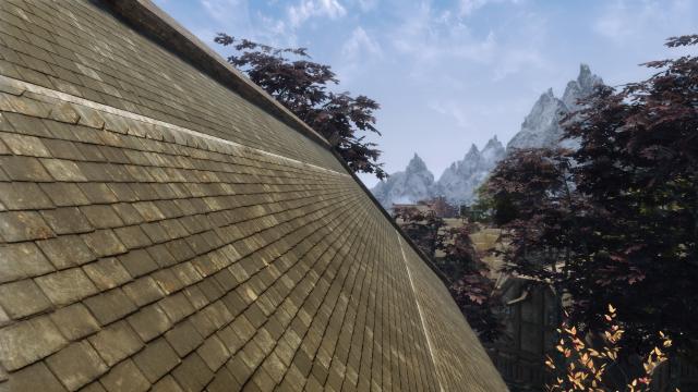 TB's HD Riften Roofs для Skyrim SE-AE