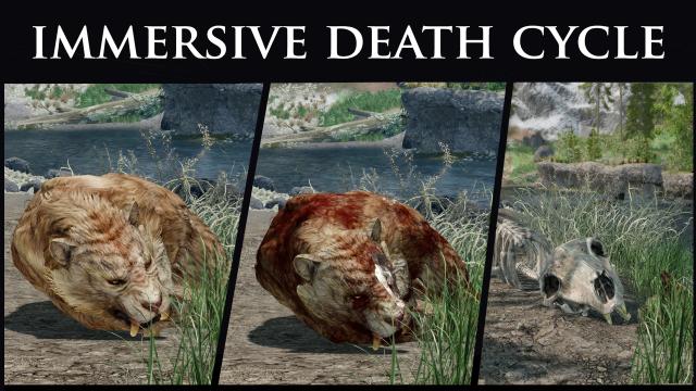 Immersive Death Cycle