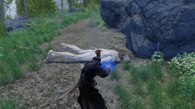 Immersive Death Cycle for Skyrim SE-AE