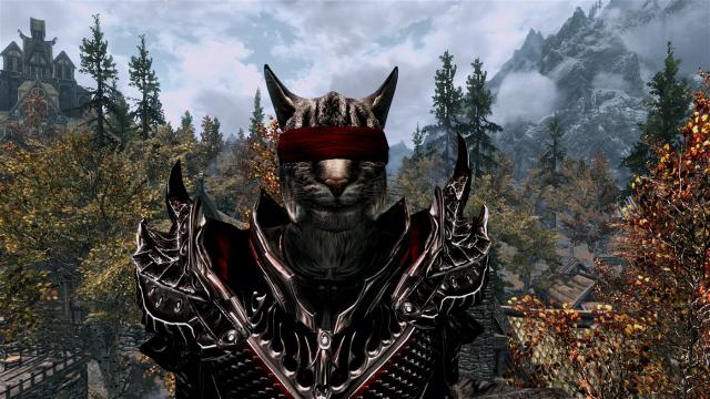 Blindfolds of Skyrim for Skyrim SE-AE