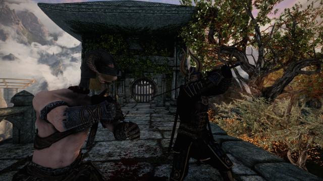 Simple Beheading - NG для Skyrim SE-AE