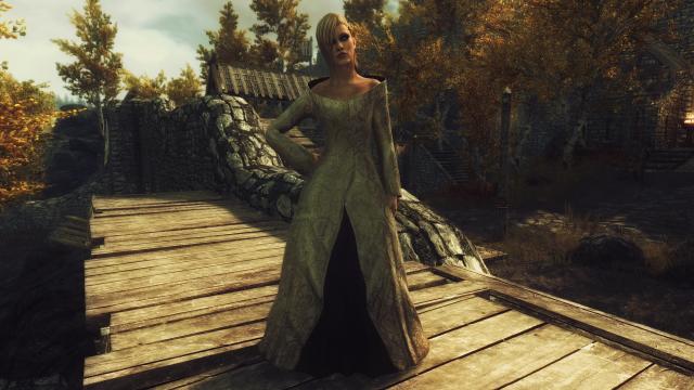 Noble Dress for Skyrim SE-AE