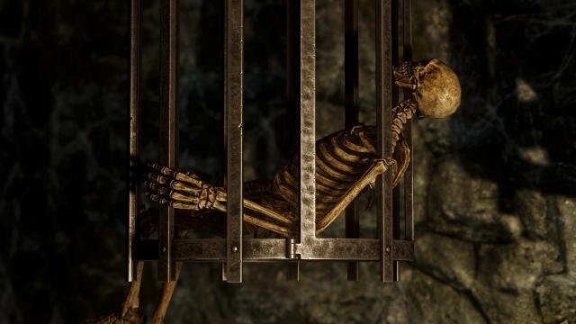 HD   JS Common Cages SE for Skyrim SE-AE