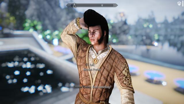 Nazeem Presley for Skyrim SE-AE