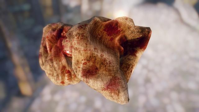 ElSopa - HD Better Bloody Rags SE for Skyrim SE-AE