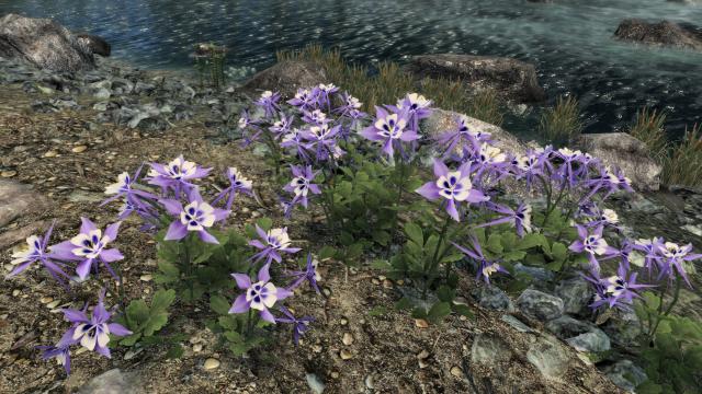 3D    Cathedral - 3D Mountain Flowers for Skyrim SE-AE