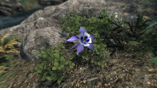 3D    Cathedral - 3D Mountain Flowers for Skyrim SE-AE