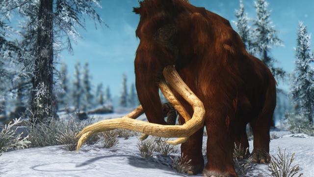 HD Мамонты / MAMMOTH для Skyrim SE-AE