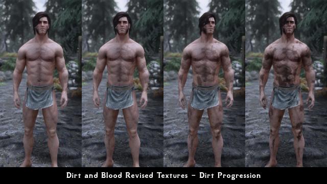 HD     Dirt and Blood HD Retexture for Skyrim SE-AE