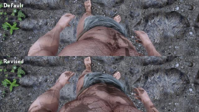 HD     Dirt and Blood HD Retexture for Skyrim SE-AE