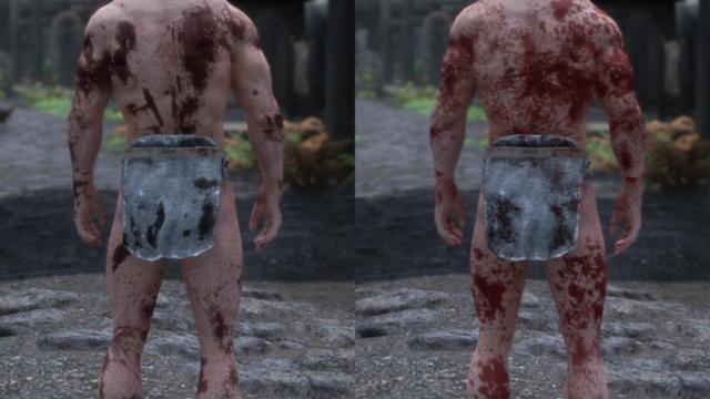 HD     Dirt and Blood HD Retexture for Skyrim SE-AE