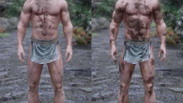 HD     Dirt and Blood HD Retexture for Skyrim SE-AE