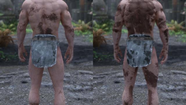 HD     Dirt and Blood HD Retexture for Skyrim SE-AE