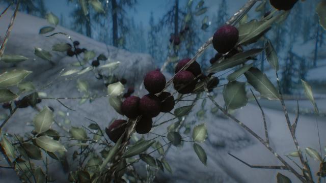 3D Snowberries - 3D Снежные ягоды