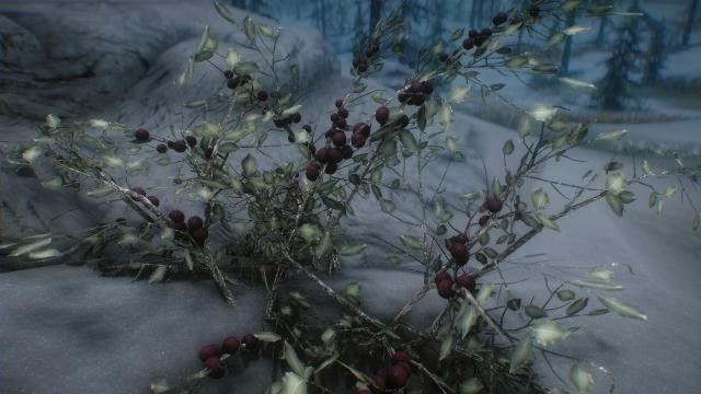 3D Snowberries - 3D Снежные ягоды для Skyrim SE-AE