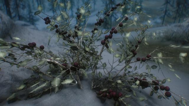 3D Snowberries - 3D Снежные ягоды для Skyrim SE-AE
