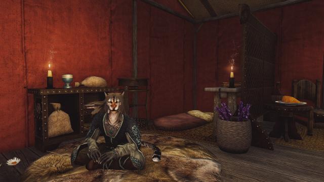 Khajiit Has Tents для Skyrim SE-AE