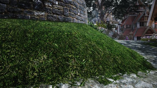 Green Grass For Whiterun