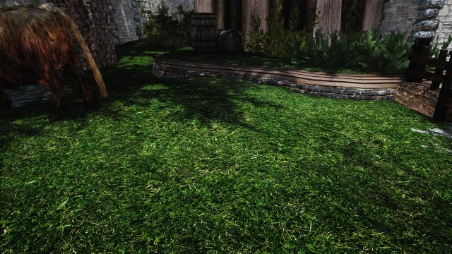 Green Grass For Whiterun for Skyrim SE-AE