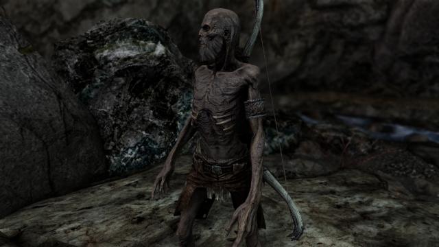 Draugrs - New models and textures for Skyrim SE-AE