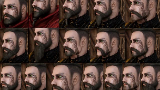 Blackbeerd's Beards