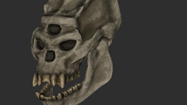 2-4  Troll Skull Retexture