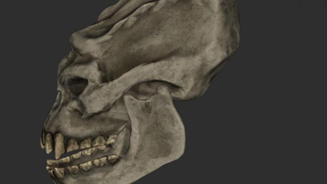 Череп тролля 2к-4к / Troll Skull Retexture для Skyrim SE-AE