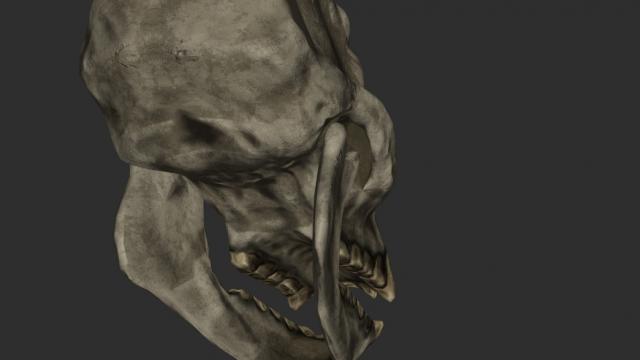 Череп тролля 2к-4к / Troll Skull Retexture для Skyrim SE-AE