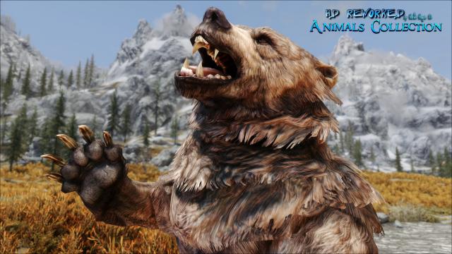 4   HD Reworked Bears 4K