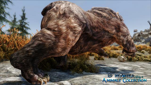 4   HD Reworked Bears 4K for Skyrim SE-AE