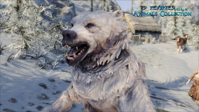 4   HD Reworked Bears 4K for Skyrim SE-AE