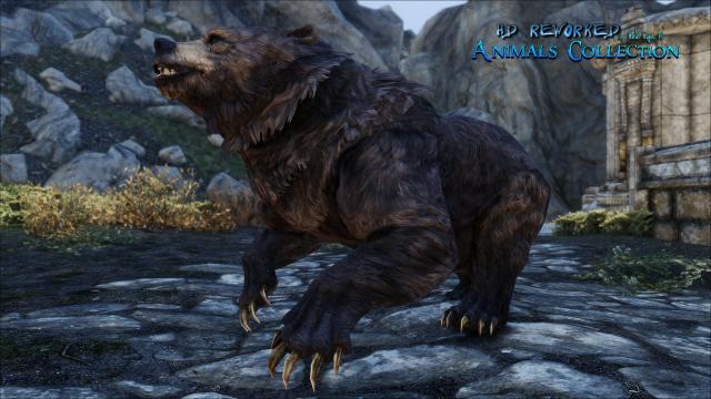 4   HD Reworked Bears 4K for Skyrim SE-AE