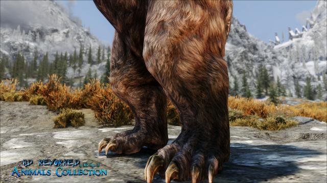 4   HD Reworked Bears 4K for Skyrim SE-AE