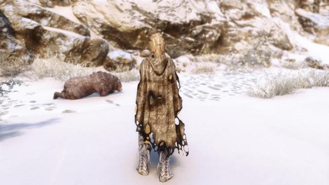 Cloaks Of Skyrim  Cloaks Of Skyrim Retextured SE for Skyrim SE-AE