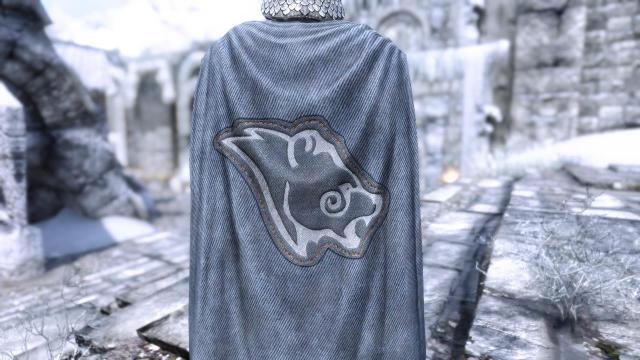 Cloaks Of Skyrim  Cloaks Of Skyrim Retextured SE for Skyrim SE-AE