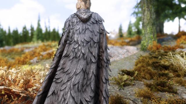 Cloaks Of Skyrim  Cloaks Of Skyrim Retextured SE for Skyrim SE-AE