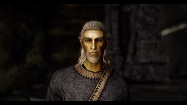 Переработка мужчин от Pandorable / Pandorable's NPCs - males для Skyrim SE-AE