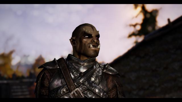 Переработка мужчин от Pandorable / Pandorable's NPCs - males для Skyrim SE-AE