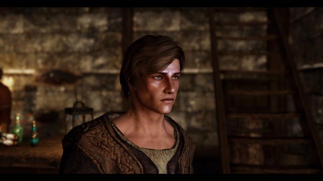 Переработка мужчин от Pandorable / Pandorable's NPCs - males для Skyrim SE-AE